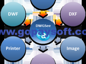 AutoDWG DWGSee Pro 2019 v4.78 破解版