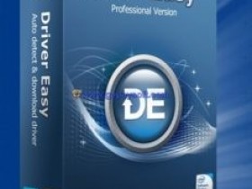 Driver Easy Professional 5.6.4.5551 Multilingual破解版