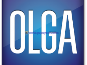 Schlumberger OLGA 2017.2 （最新版）x64