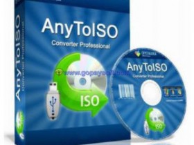 AnyToISO Professional 3.9.3 Build 631破解激活