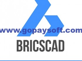 Bricsys BricsCAD Platinum 19.2.07.1破解版