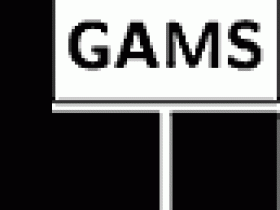 GAMS Distribution 25.1.3破解版