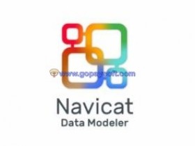 Navicat Data Modeler 2.1.17破解版（带注册机）