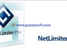 NetLimiter Pro 4.0.38.0 Enterprise破解版