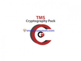 TMS Cryptography Pack 3.0.1.0 XE2-D10.2 Tokyo