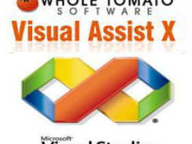 Visual Assist X 10.9 Build 2302 破解版