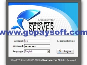 Wing FTP Server Corporate 6.0.3破解版