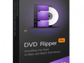 WonderFox DVD Ripper Pro 11.1中文破解版