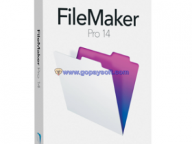 FileMaker Pro 17 Advanced 17.0.1.143 Win / 16.0.5 macOS