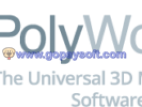 InnovMetric PolyWorks Metrology Suite 2018 IR3.1破解版