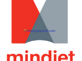Mindjet MindManager 2019 v19.0.290官方简体中文+序列号