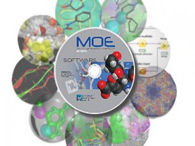 Molecular Operating Environment (MOE) 2018.01破解版