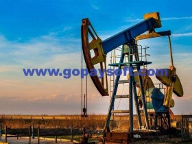 石油专业软件需要请发邮件洽谈:vip@gopaysoft.com