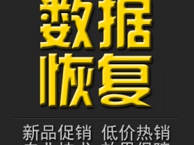 远程数据恢复人工服务 硬盘U盘内存卡SD卡CF卡TF卡 easyrecovery