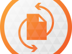 Paragon Hard Disk Manager Advanced 17.10破解版