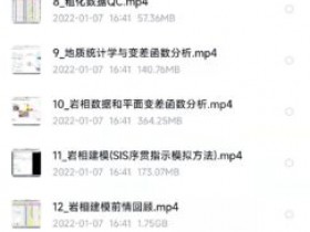 Petrel 2020精品视频教程