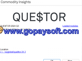 成本评估软件 S&P Global QUE$TOR 2024 Q3破解版