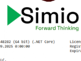 建模软件 Simio Enterprise 2025 v19.280.48282破解版
