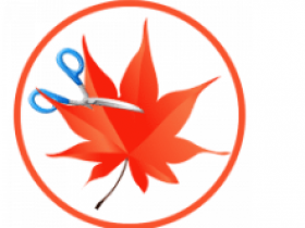 图片切割软件 Easy Cut Studio 6.014 (x64) Multilingual激活版
