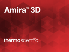数据分析软件 Thermo Fisher Scientific Amira/Avizo 2025.1破解版