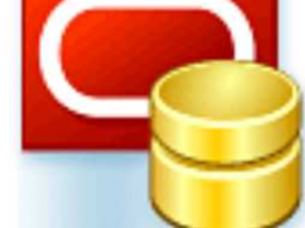 数据库管理 Oracle Maestro Professional 16.1.0.5激活