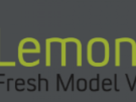 模型管理工具 LieberLieber Software LemonTree v4.2.1破解版