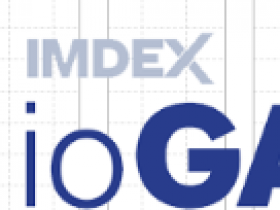 数据分析软件 IMDEX ioGAS v8.3.1 build 300231破解版