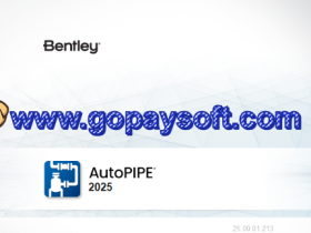 管道设计软件 Bentley AutoPIPE 2025 25.00.01.213破解版