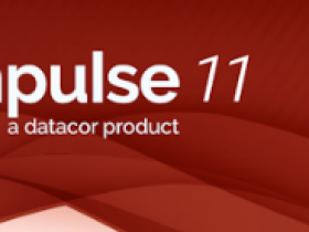 水锤设计软件 Datacor Impulse 2026.01.22破解版